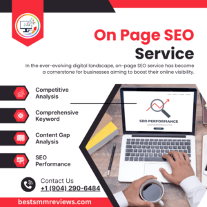 On Page SEO Service